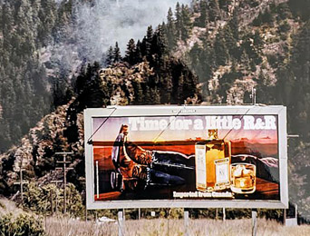 Times I Didn't Die: Snakes billboard with Time for a little R&R